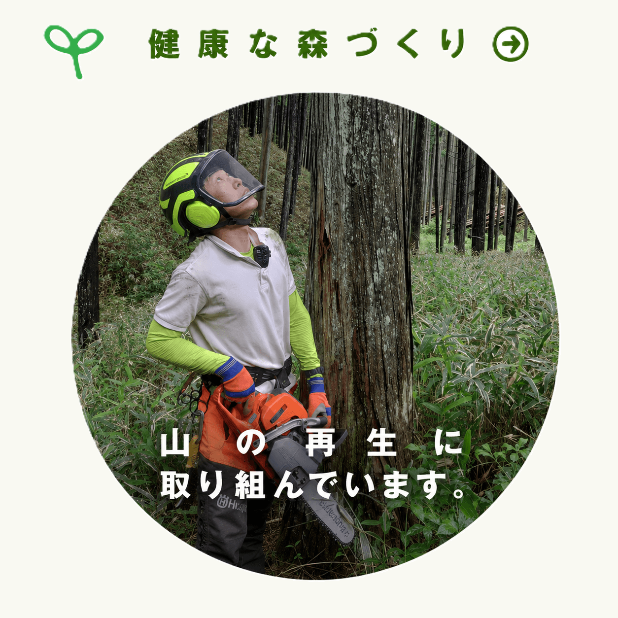 健康的な森づくり　山の再生に取り組んでいます