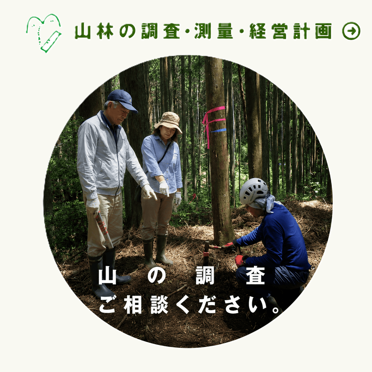 山林の調査・測量・経営計画　山の調査ご相談ください