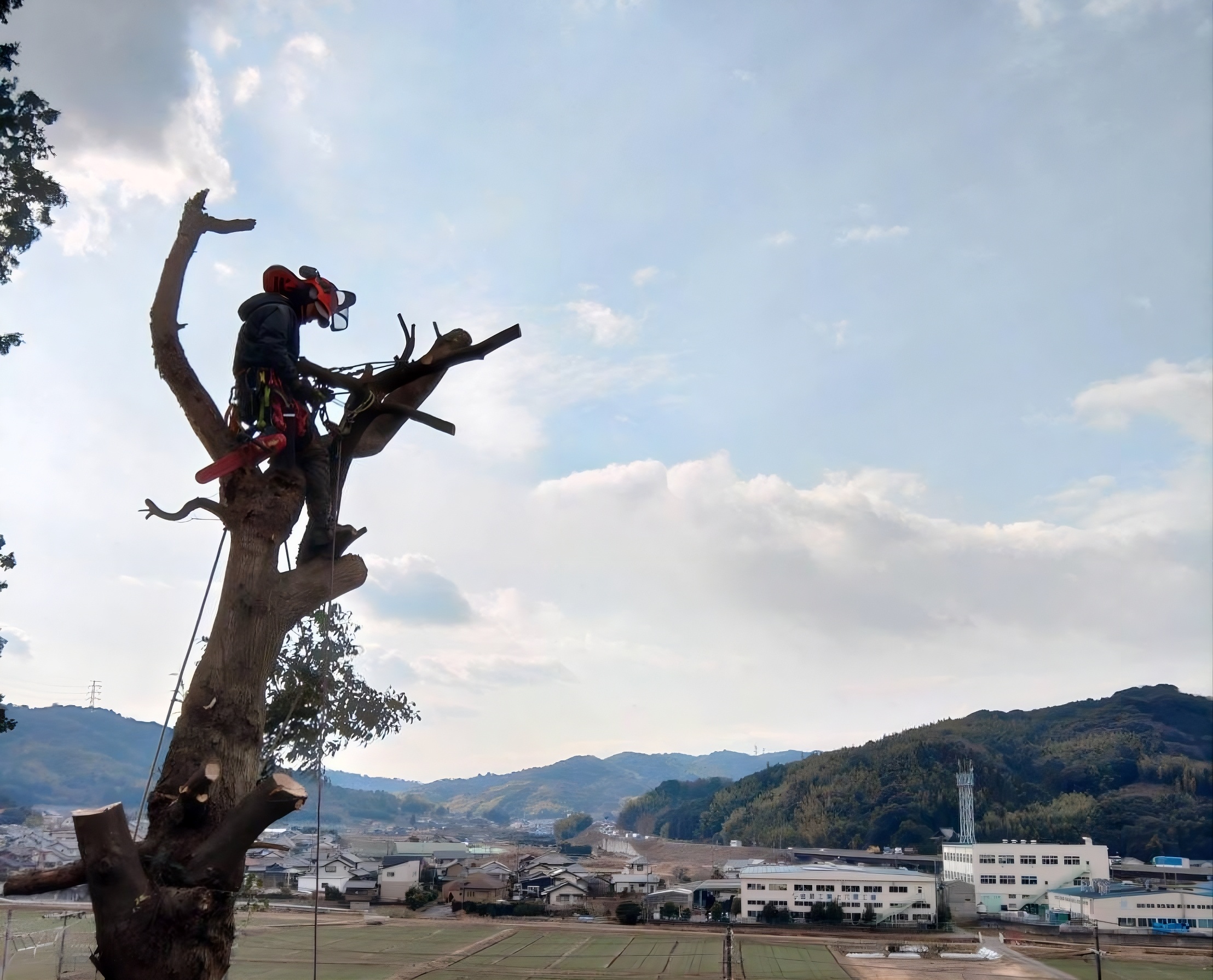 未来の子どもたちへ私たちができること。